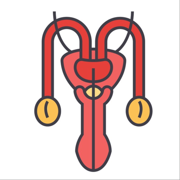 Illustrazione grafica per Pene curvo