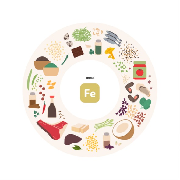 Illustrazione grafica per Anemia