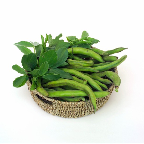 Illustrazione grafica per Favismo