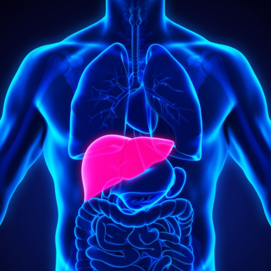 Illustrazione grafica per Emocromatosi