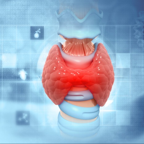 Illustrazione grafica per Ipotiroidismo