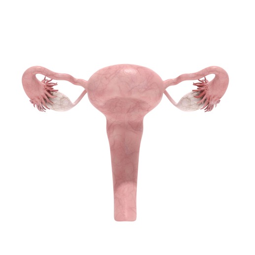 Tumore del collo dell'utero