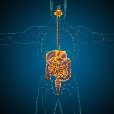 Congestione digestiva