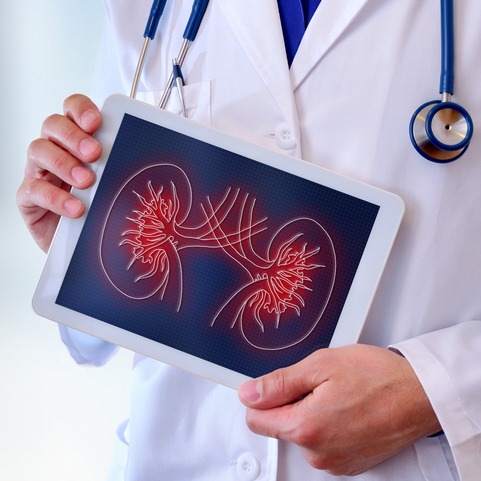 Illustrazione grafica per Nefrite