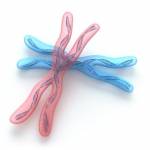 Galleria Dr. Andrea Breda Klobus foto 5